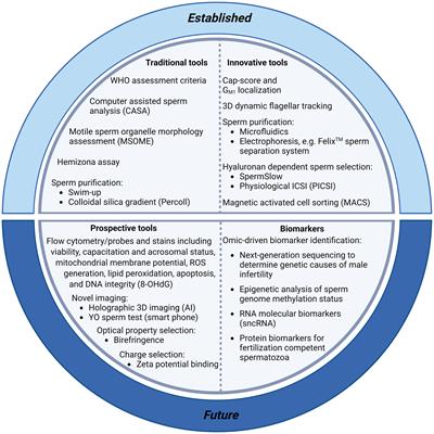 Frontiers New horizons in human sperm selection for assisted